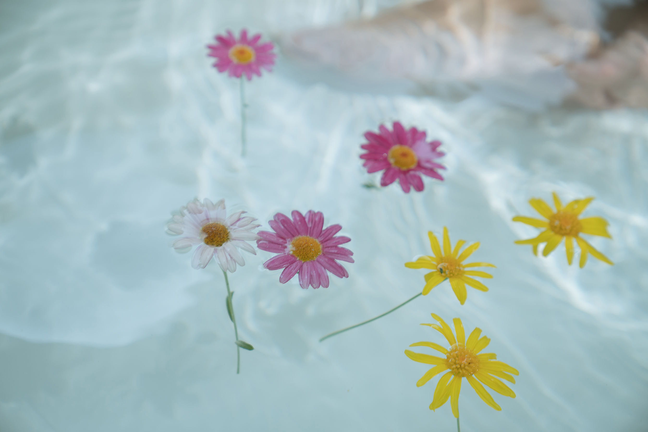 [COS福利] 阳光美少女萌芽儿o0 - 浴缸第18张