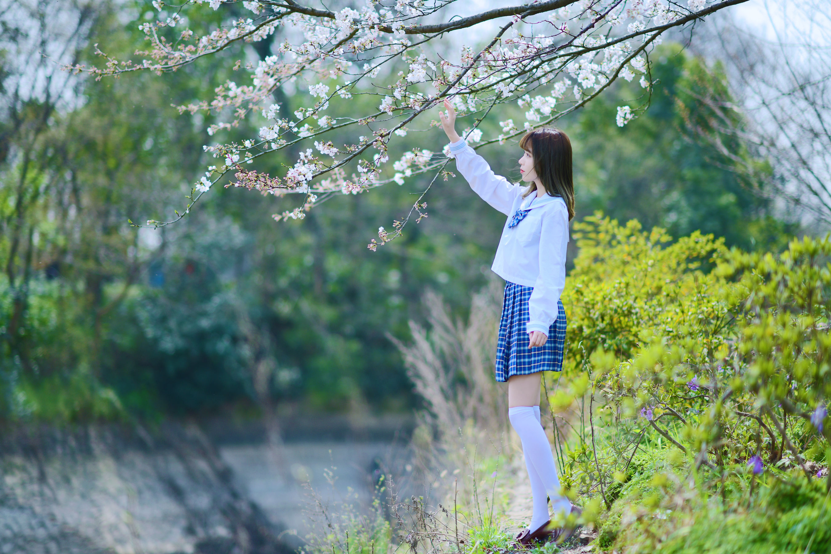 [福利COS] 可爱妹子Fushii_海堂 - 樱花树下第7张