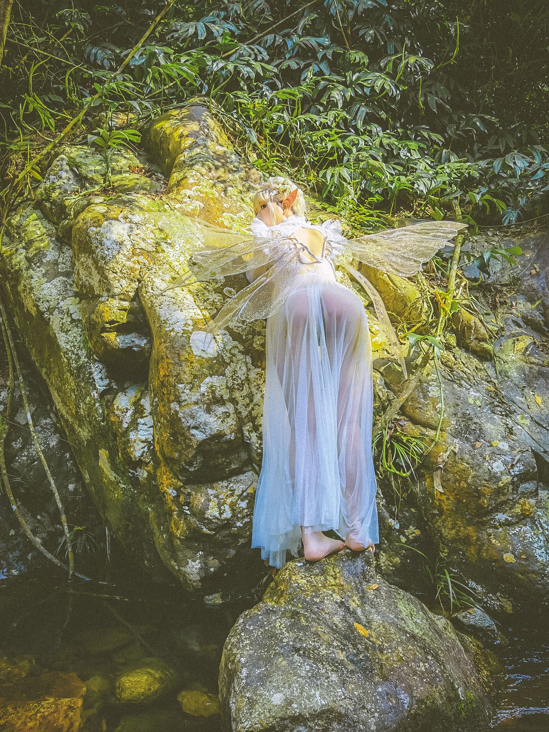 [福利COS] 自闭颜球球(无颜小天使wy) - 林中精灵第22张