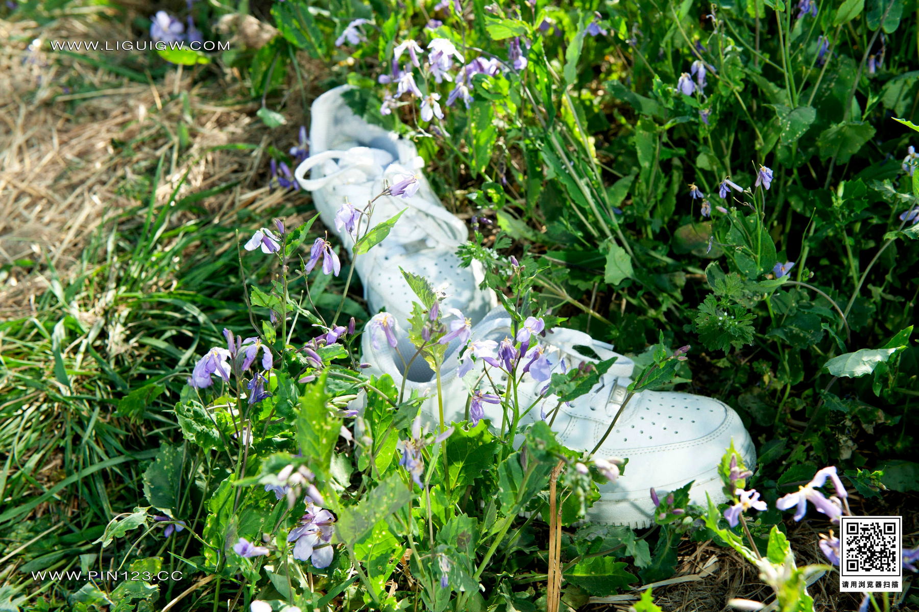 [Ligui丽柜] 2024.03.11 绿水青丝 Kiki第13张