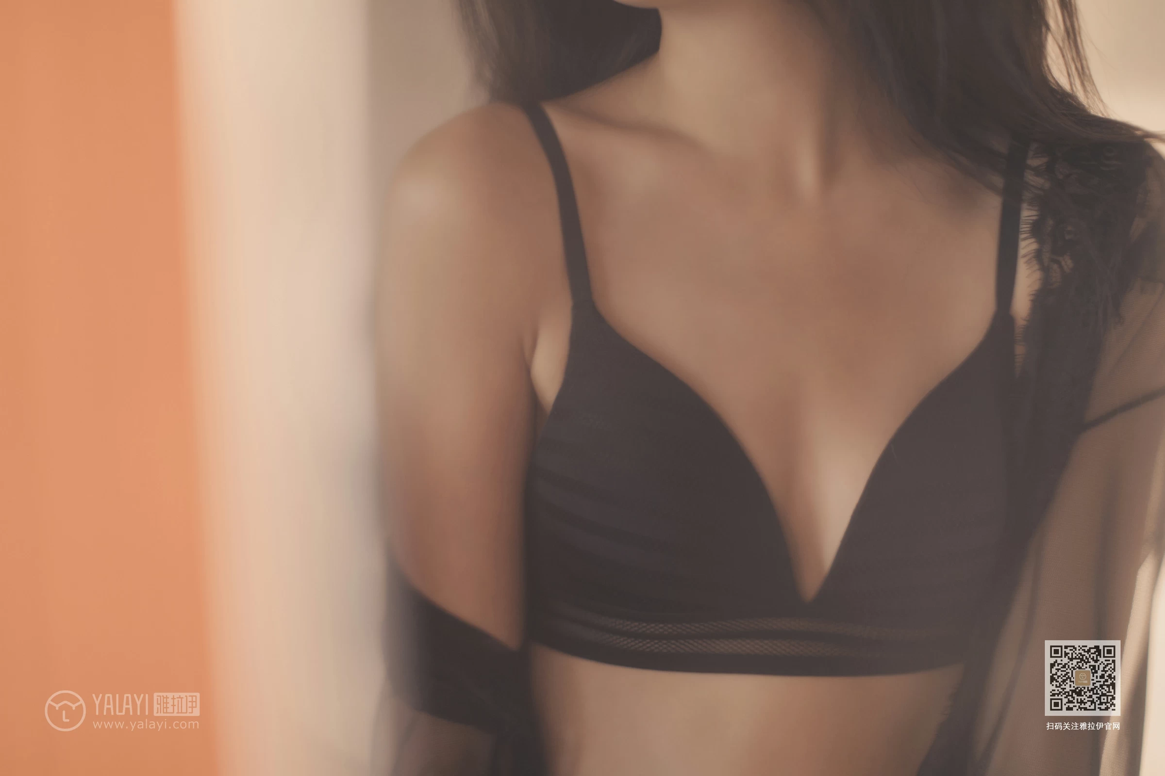 [YALAYI雅拉伊]Vol.470 秋色满房 苍儿 黑色透视情趣睡衣加黑色内衣性感私房写真集第9张