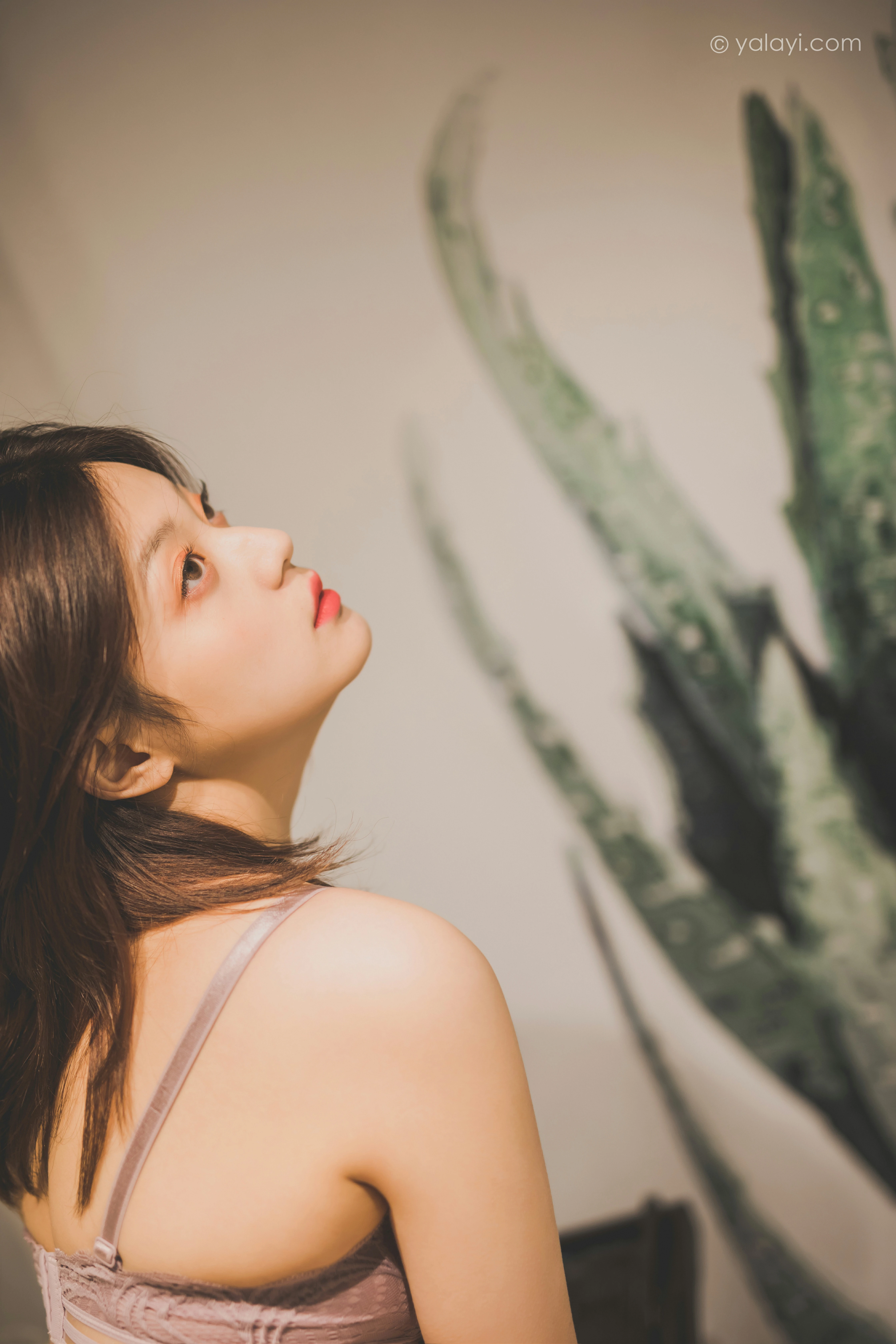 [YALAYI雅拉伊]NO.814 一个人的旅行 真真 粉色蕾丝性感内衣居家私房写真集第4张